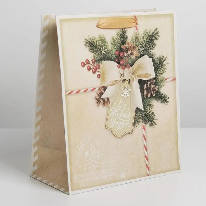 Пакет подарочный новогодний крафтовый «Поздравляю с Новым годом!», ML 23 х 27 х 8 см Пакет подарочный новогодний крафтовый «Поздравляю с Новым годом!», ML 23 х 27 х 8 см