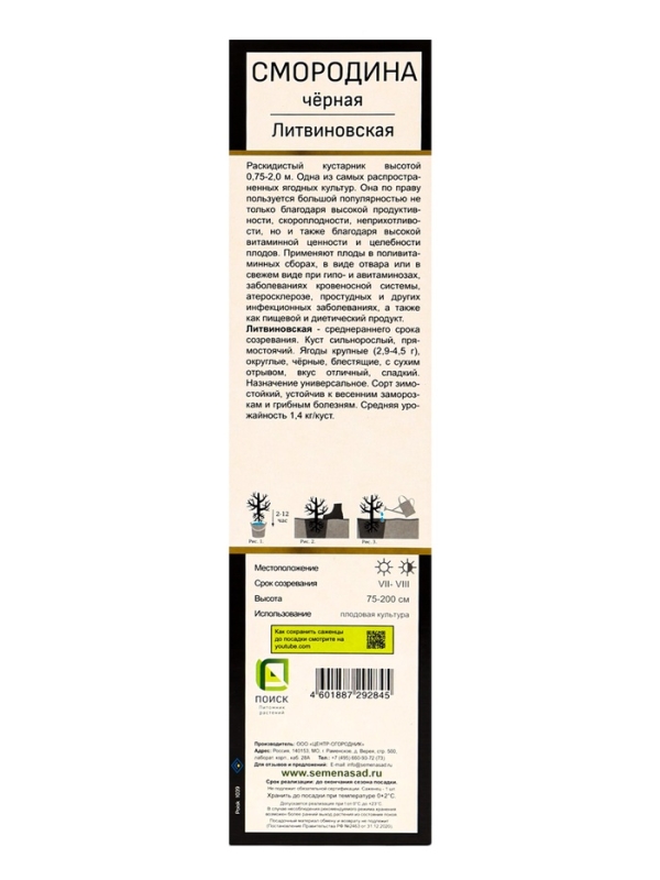 Смородина черная перспективные сорта Смородина черная перспективные сорта "Литвиновская", 1 шт, туба, Весна 2025
