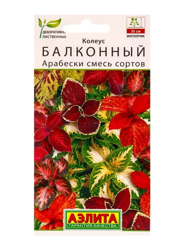 Семена цветов Колеус балконный Арабески, смесь сортов Мн Декоративно-лиственные, Ц/П,5 шт. Семена цветов Колеус балконный Арабески, смесь сортов Мн Декоративно-лиственные, Ц/П,5 шт.