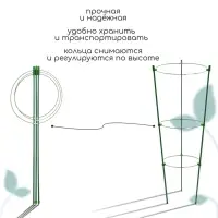 Кустодержатель, d=22&ndash;26&ndash;28 см, h=75 см, 3 кольца, металл, зелёный, Greengo