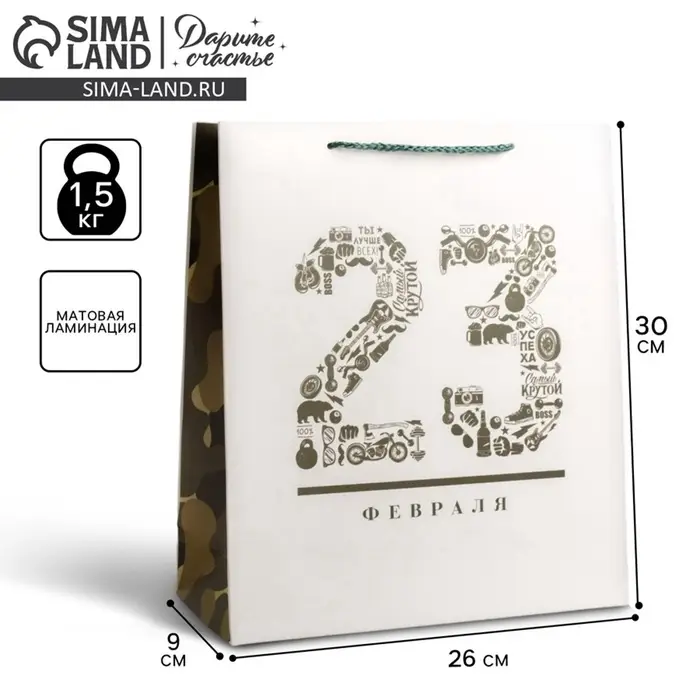 Пакет подарочный ламинированный, упаковка, &laquo;23 февраля&raquo;, M 26&times;30&times;9 см