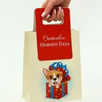 Пакет подарочный с вырубной ручкой &laquo;Лучший подарок&raquo;18&times;23&times;9 см, красный