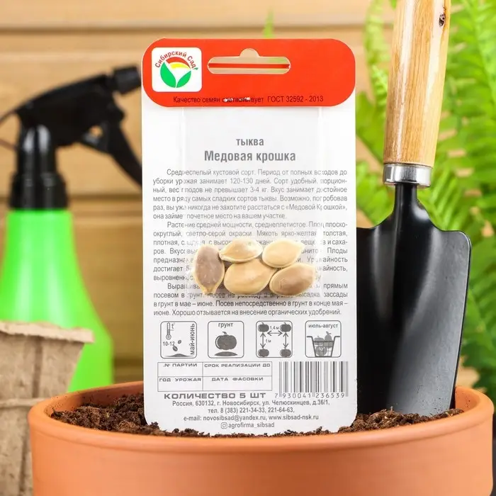 Семена Тыква "Медовая крошка", 5 шт Семена Тыква "Медовая крошка", 5 шт