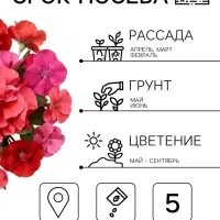 Семена цветов Петуния &laquo;Дуо&raquo; F1, нежно-розовая, 5 шт., PanAmerican, &laquo;АЭЛИТА&raquo;