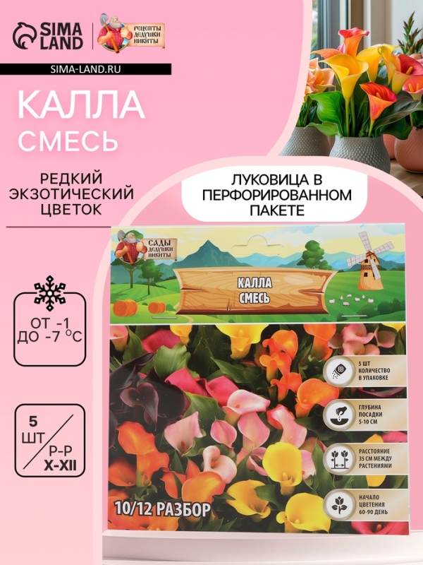 Калла «Смесь», клубнелуковица в пакете с перфорацией, р-р 10/12, 5 шт. Калла «Смесь», клубнелуковица в пакете с перфорацией, р-р 10/12, 5 шт.
