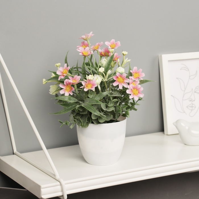 Бонсай в горшке Бонсай в горшке "Фрезия премиум экстра" 21х9 см, микс