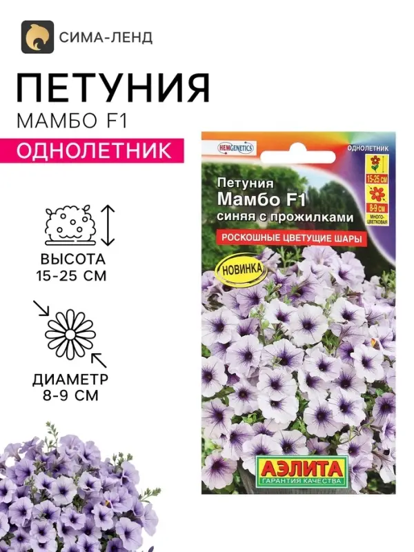 Семена Цветов Петуния &laquo;Мамбо&raquo; F1, синяя с прожилками, пробирка, 7 шт.