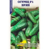 Семена Огурец Буян F1 огурец /Сотка/ 0,15г / партен. раннесп. 8-11см/*1500 Семена Огурец Буян F1 огурец /Сотка/ 0,15г / партен. раннесп. 8-11см/*1500