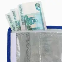 Кошелек детский на липучке &laquo;Щенячий патруль&raquo; синий 9&times;9&times;1