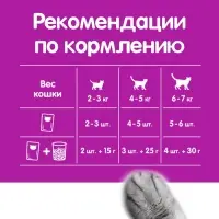 Влажный корм Whiskas для кошек, говядина/ягненок в желе, пауч, 75 г