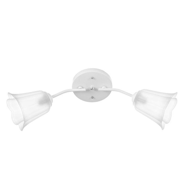 Люстра Люстра "Онлайн" (цветок) 2х15Вт Е27 МОДЕЛЬ: BR 00197 белый/прозрачный