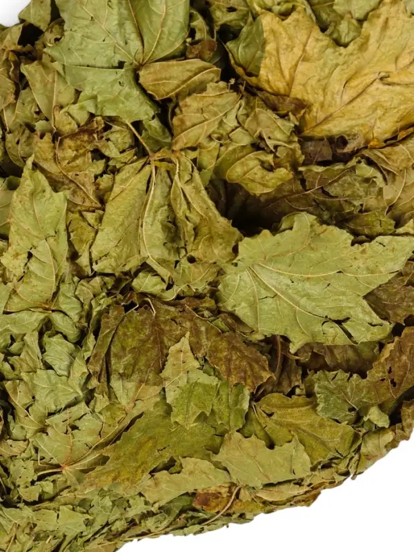 Веник для бани, кленовый, в пакете