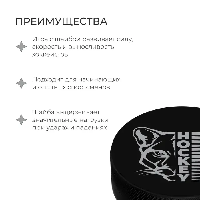 Шайба хоккейная Winter Star, взрослая, d=7.6 см