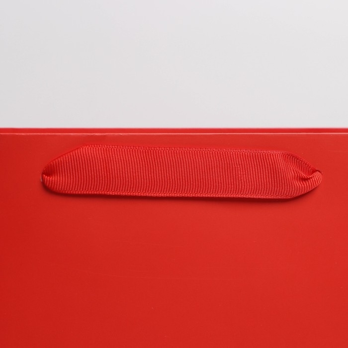 Пакет подарочный ламинированный, упаковка, «Красный», L 31 х 40 х 11.5 см