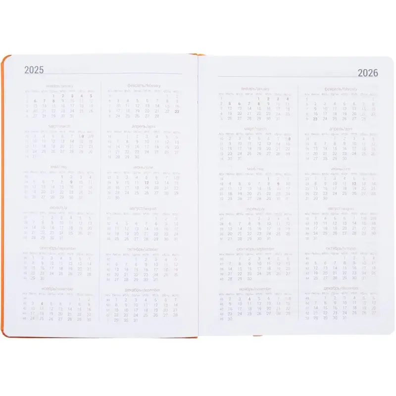 Ежедневник Basis, датированный, оранжевый Ежедневник Basis, датированный, оранжевый