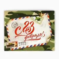 Пакет подарочный ламинированный, упаковка, &laquo;С 23 февраля&raquo;, MS 23&times;18&times;8 см