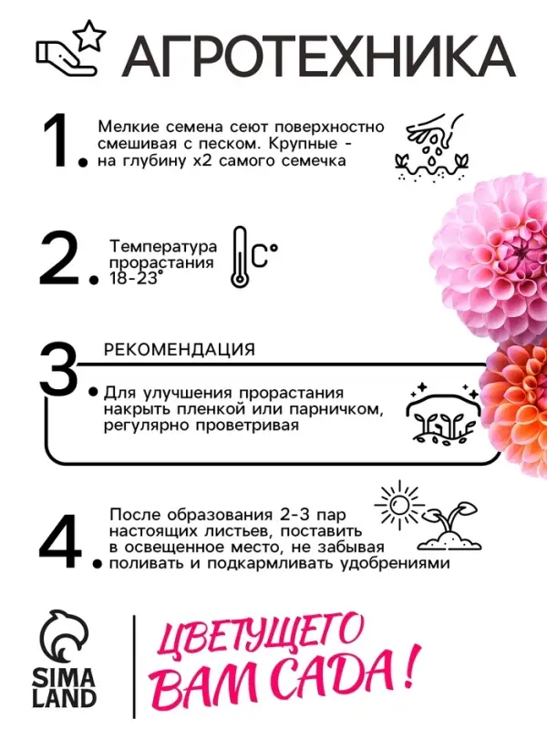 Семена цветов Георгин  Семена цветов Георгин "Яркие помпоны", 0,3 г