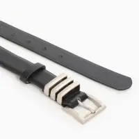 Ремень женский, 110&times;2.8 см, прямоугольная пряжка металл, серебристая, чёрный