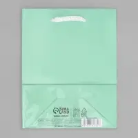 Пакет подарочный ламинированный, упаковка, &laquo;Зелёный&raquo;, S 12 х 15 х 5.5 см