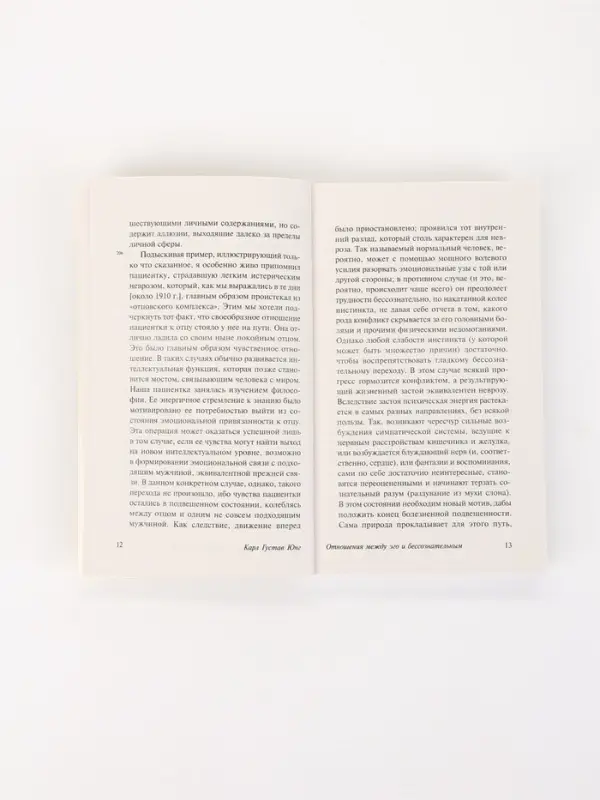 Книга &laquo;Отношения между эго и бессознательным&raquo;, Карл Густав Юнг
