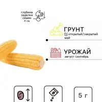 Семена Кукуруза сахарная &laquo;Медовые соты&raquo;,5 г, &laquo;Урожай удачи&raquo;