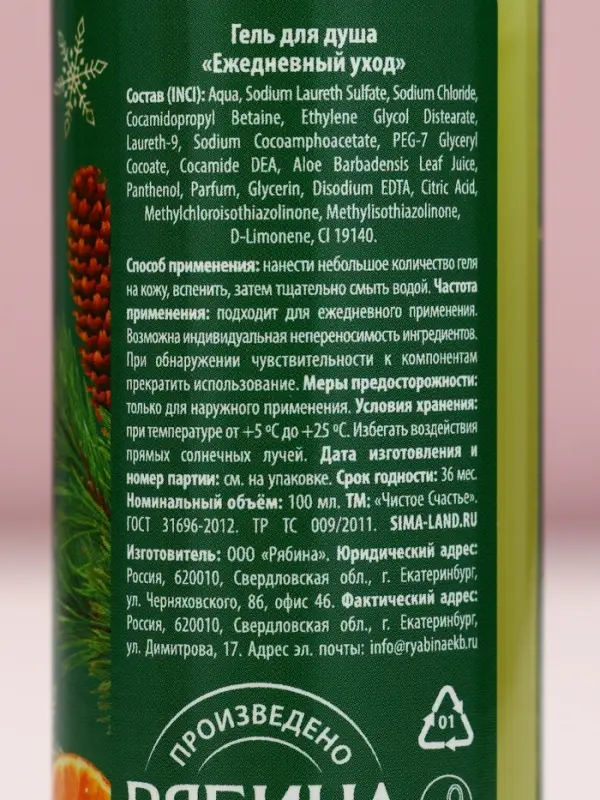 Гель для душа &laquo;С Новым Годом!&raquo;, 100 мл, аромат апельсинового пирога, Чистое счастье
