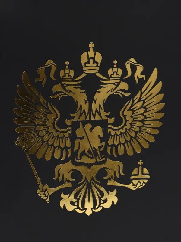 Пакет подарочный, упаковка, &laquo;Герб России&raquo;, 32&times;26&times;12 см