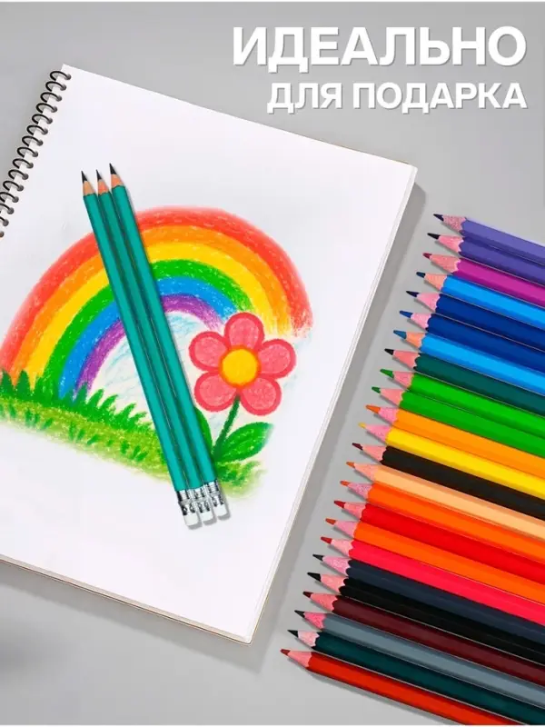 Карандаши Calligrata, цветные, 24 цвета, эконом, шестигранные, пластиковые, пенал-футляр и 3 чернографитных карандаша с ластиком в ПОДАРОК, МИКС