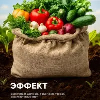 Органическое удобрение &laquo;Биогумус&raquo; Рецепты дедушки Никиты, концентрат, канистра 3 л