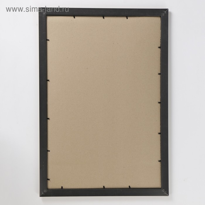 Фоторамка 40х60 см (608) пластик (пластиковый экран) Фоторамка 40х60 см (608) пластик (пластиковый экран)