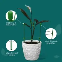 Кустодержатель, d=18 см, h=30 см, 2 кольца, металл, зелёный, Greengo