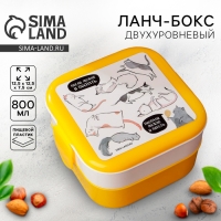 Ланч - бокс квадратный двухуровневый «Котики», 400 мл