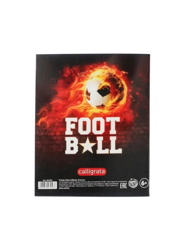 Тетрадь предметная 48 листов в линейку Calligrata, «Футбол. Литература», обложка мелованный картон Тетрадь предметная 48 листов в линейку Calligrata, «Футбол. Литература», обложка мелованный картон