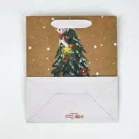 Набор пакетов крафтовых «Новогоднее поздравление» Набор пакетов крафтовых «Новогоднее поздравление»