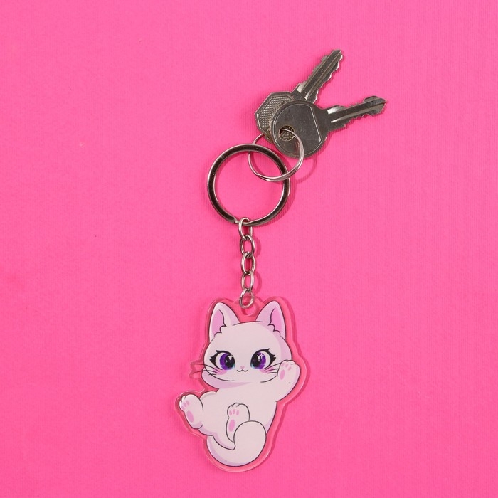 Набор брелоков Набор брелоков