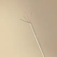 Шнур тм VETTA, с металлической жилой тм VETTA 20м х 2мм