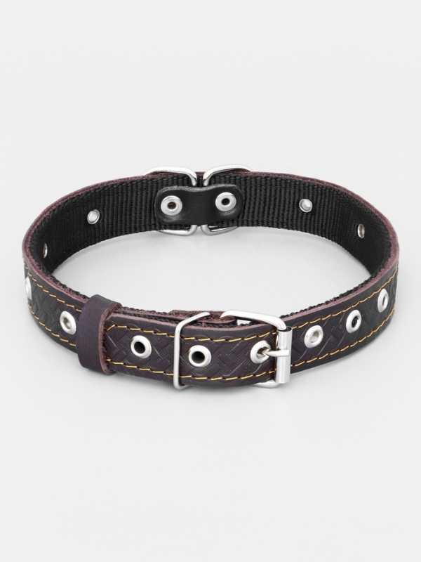 Ошейник кожаный усиленный капроном с полукольцом, 55 х 2,5 см, ОШ 27-53 см, коричневый Ошейник кожаный усиленный капроном с полукольцом, 55 х 2,5 см, ОШ 27-53 см, коричневый