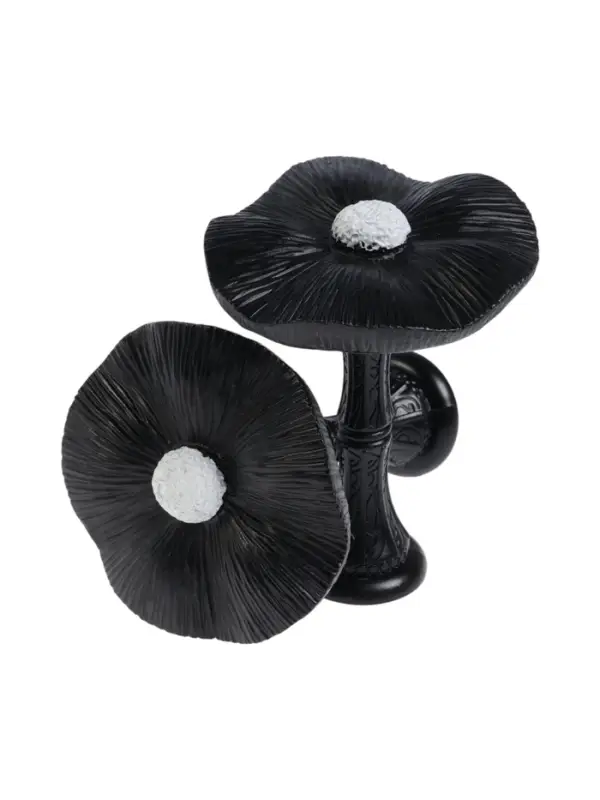 Крючок для штор CAPPIO KS036, d=9.5 мм, цвет черный, 2 шт