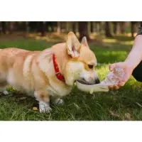 Поилка прогулочная, 300 мл, фигурная, с мягким носиком