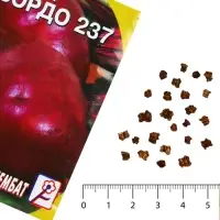 Семена Свекла &laquo;Бордо 237&raquo;, 1 г