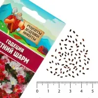 Семена цветов Годеция &laquo;Летний шарм&raquo;, смесь сортов, 0.01 г, &laquo;Рецепты дедушки Никиты&raquo;