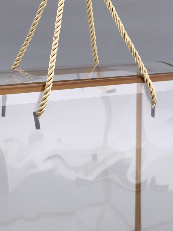 Коробка из PET с ручками, золотая, 20 х 20 х 9 см Коробка из PET с ручками, золотая, 20 х 20 х 9 см