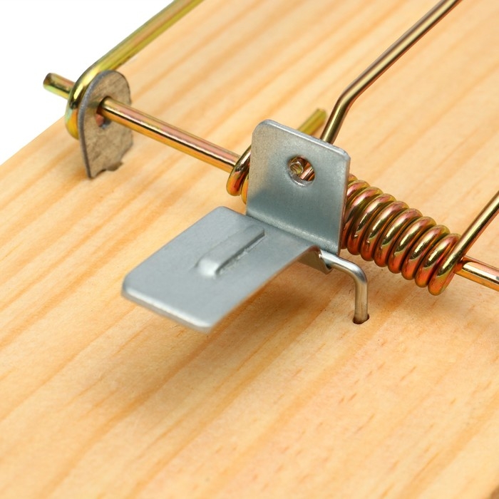 Крысоловка, 17 × 8 см, дерево, Greengo Крысоловка, 17 × 8 см, дерево, Greengo