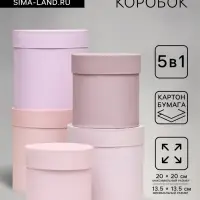 Набор шляпных подарочных коробок 5 в 1 &laquo;Пудра&raquo;,20&times;20&times;20‒13.5&times;13.5&times;13.5 см