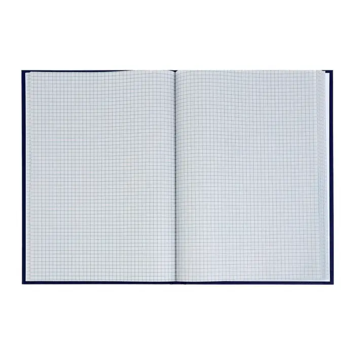 Книга учета, 96 листов, обложка бумвинил, блок газетный, клетка, синяя