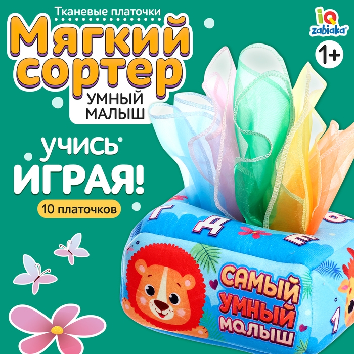 Сортер «Самый умный малыш» Сортер «Самый умный малыш»