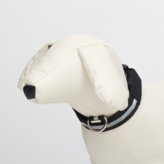 Ошейник с подсветкой размер S, ОШ 35-43 х 2,5 см, 3 режима свечения чёрный Ошейник с подсветкой размер S, ОШ 35-43 х 2,5 см, 3 режима свечения чёрный