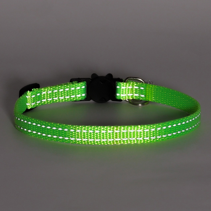 Ошейник кошачий светоотражающий, с серебряным бубенчиком, 19-32 х 1 см, зелёный Ошейник кошачий светоотражающий, с серебряным бубенчиком, 19-32 х 1 см, зелёный
