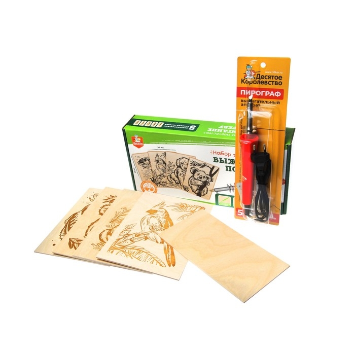 Набор для выжигания по дереву (аппарат с насадками, доски 5 шт.) Набор для выжигания по дереву (аппарат с насадками, доски 5 шт.)