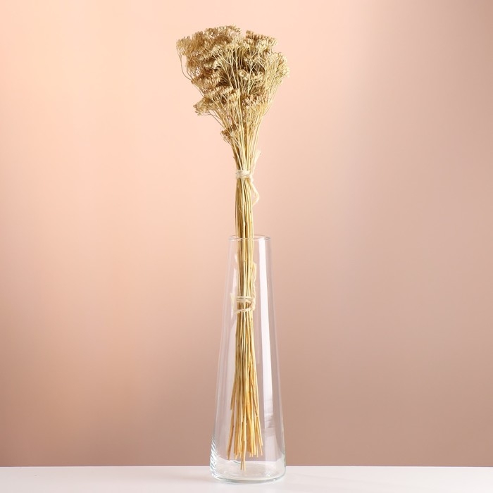 Набор сухоцветов Набор сухоцветов "Тысячелистник", банч длина 60 (+/- 6 см), выбеленный